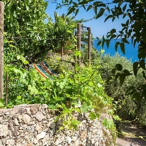 Agriturismo La Selva Alloggio per agriturismo